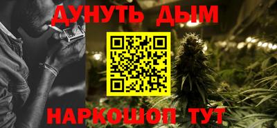 прущие грибы Гатчина
