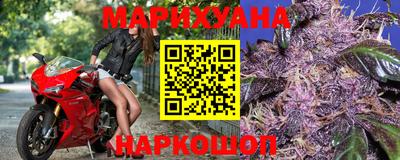 прущие грибы Гатчина