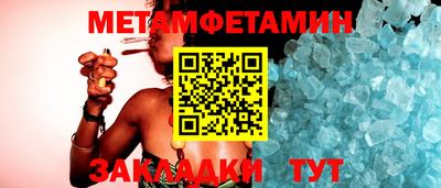 прущие грибы Гатчина