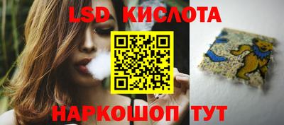 spice Гай