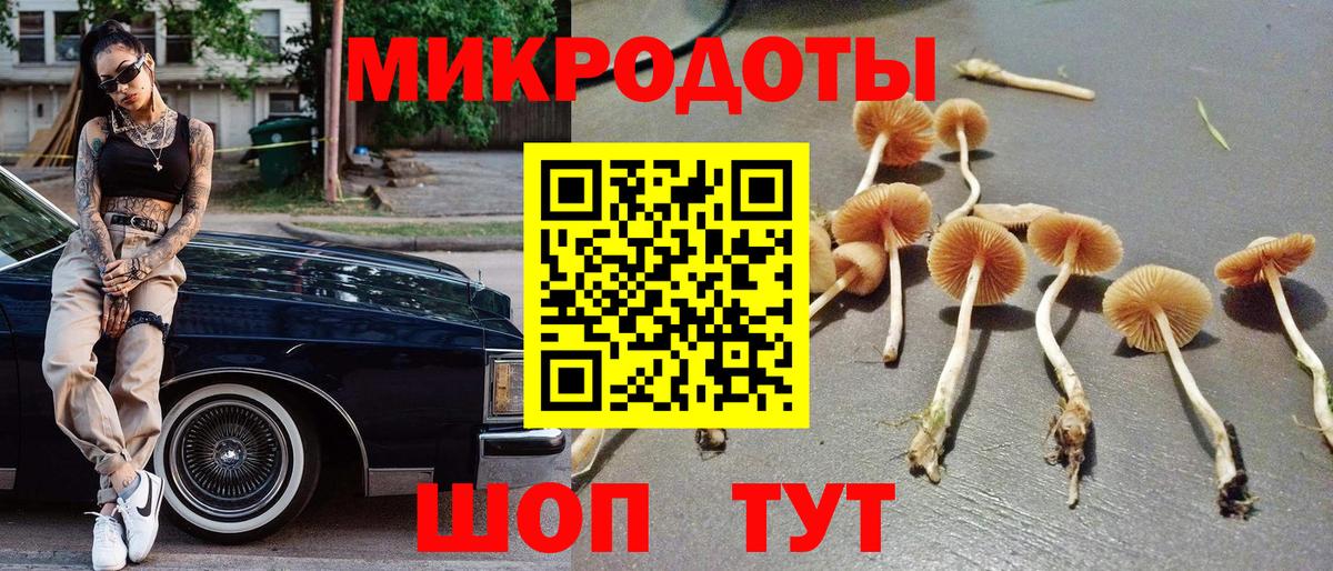 Галлюциногенные грибы MAGIC MUSHROOMS  Вход с VPN  Можайск  Галлюциногенные грибы Psilocybe 
