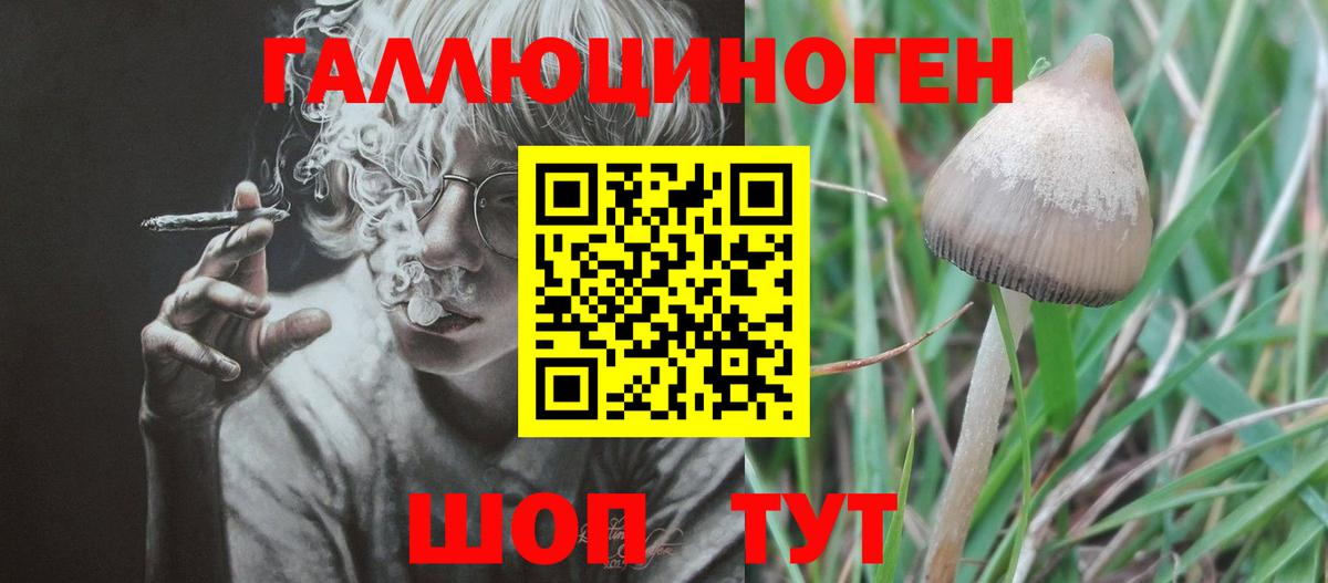 Псилоцибиновые грибы GOLDEN TEACHER Можайск